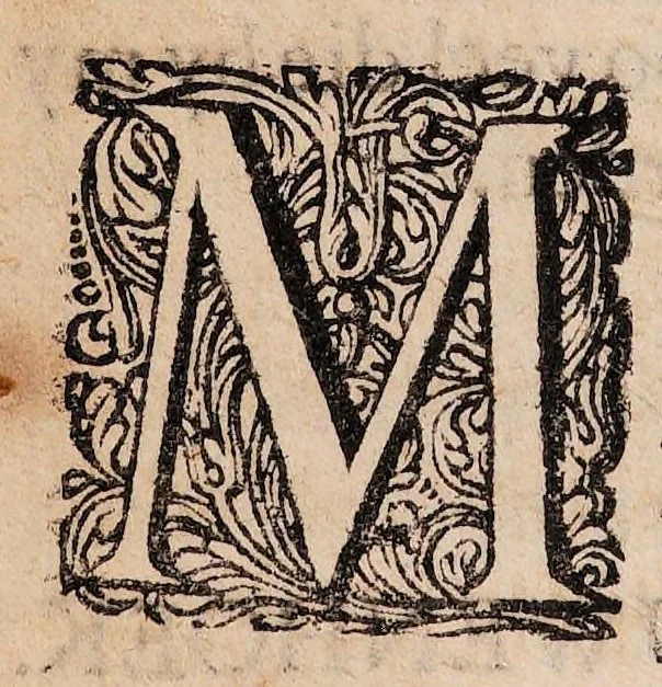 An illustration from Ontledingen en ontdekkingen van de onsigtbare verborgentheden; vervat in verscheyde brieven,, 1685, leaf 118