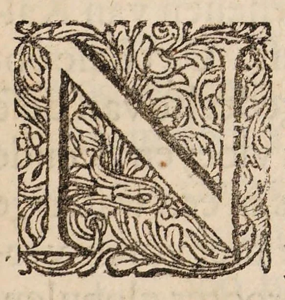 An illustration from Ontledingen en ontdekkingen van de onsigtbare verborgentheden; vervat in verscheyde brieven,, 1685, leaf 25