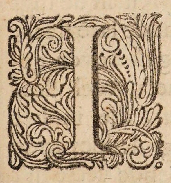 An illustration from Ontledingen en ontdekkingen van de onsigtbare verborgentheden; vervat in verscheyde brieven,, 1685, leaf 51