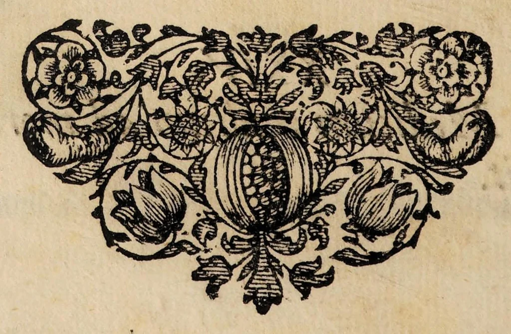 An illustration from Dissertationem inauguralem de febre petechiali ..., 1685, leaf 24