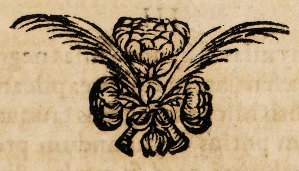 An illustration from Dissertationem inauguralem de febre petechiali ..., 1685, leaf 5