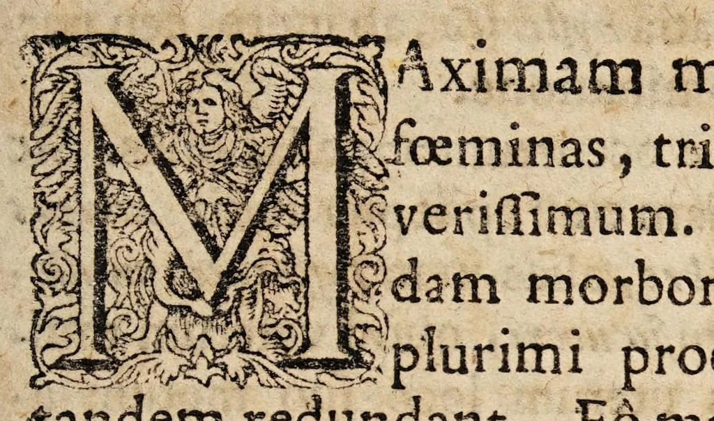 An illustration from Disputatio inaguralis medica de suffocatione hysterica ..., 1687, leaf 3