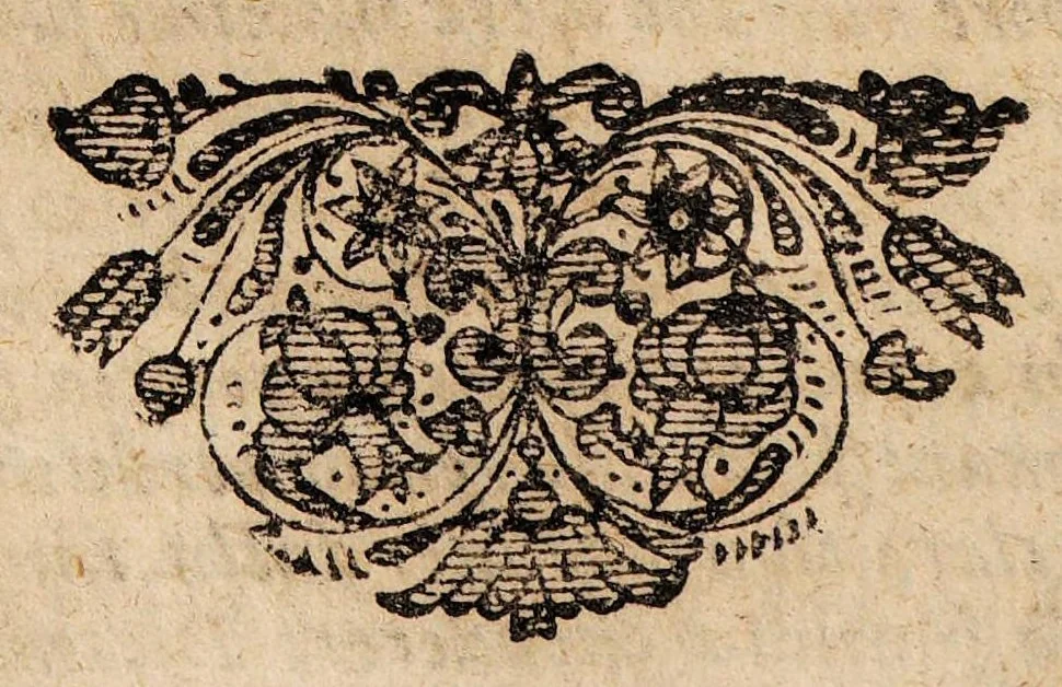 An illustration from Dissertatio medica publica de vena portae, ..., 1687, leaf 6