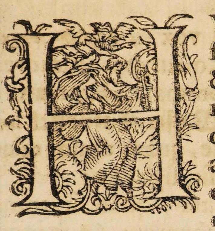An illustration from Disputatio inauguralis medico chirurgica de ydrosarkokele ..., 1689, leaf 3