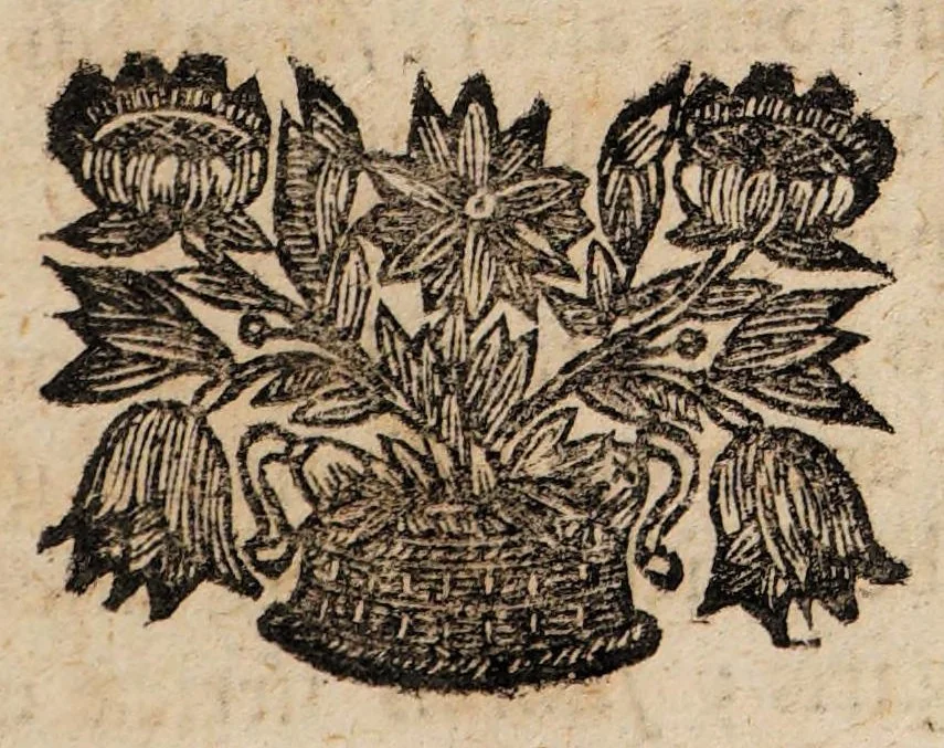 An illustration from De usu plantarum, indigenarum in medicina, et sub finem, de clysso plantarum, & thee specifico, enchiridion, 1690, leaf 7