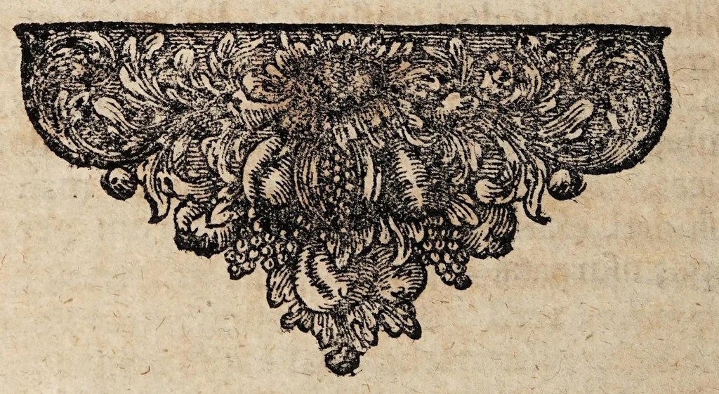 An illustration from Disputatio medica de hemicrania ..., 1690, leaf 30
