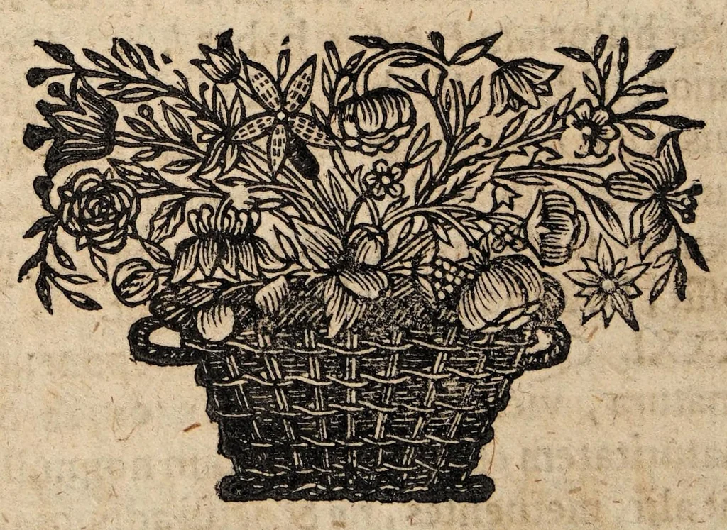 An illustration from Disputationem inauguralem de suffusione vulgo vom Staar ..., 1691, leaf 28