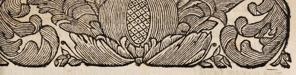 An illustration from Exercitatio medica de aere morbifico ..., 1694, leaf 7