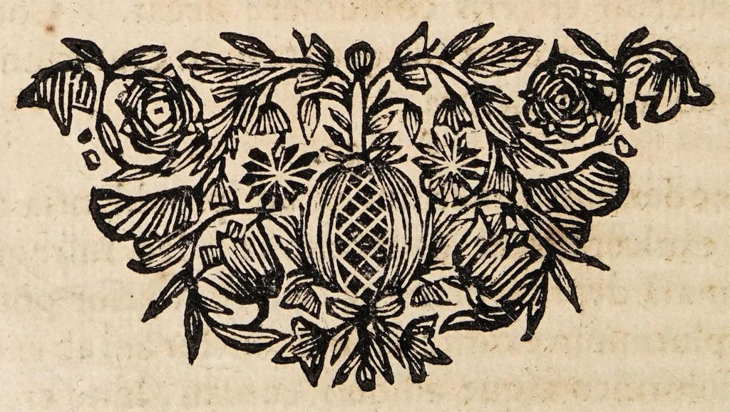 An illustration from Dissertatio medica inauguralis de haemorrhoidibus caecis, 1694, leaf 32
