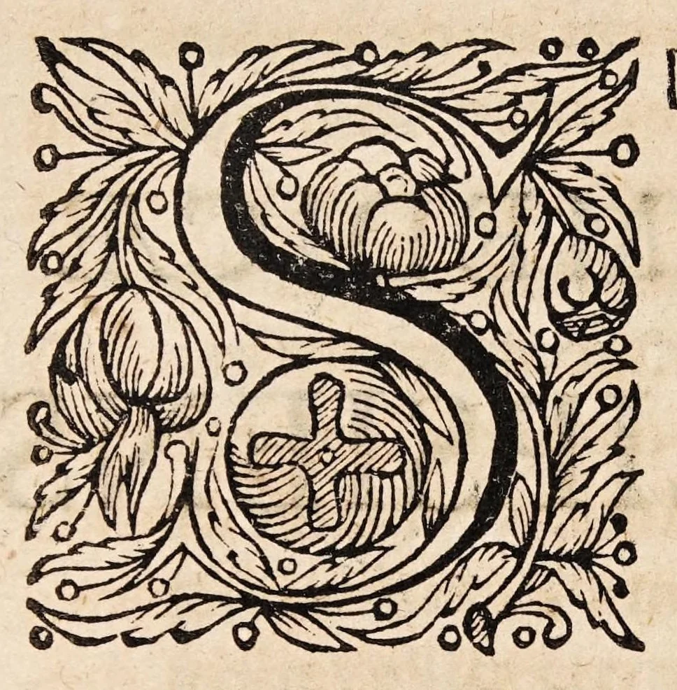 An illustration from Dissertatio medica inauguralis de haemorrhoidibus caecis, 1694, leaf 34