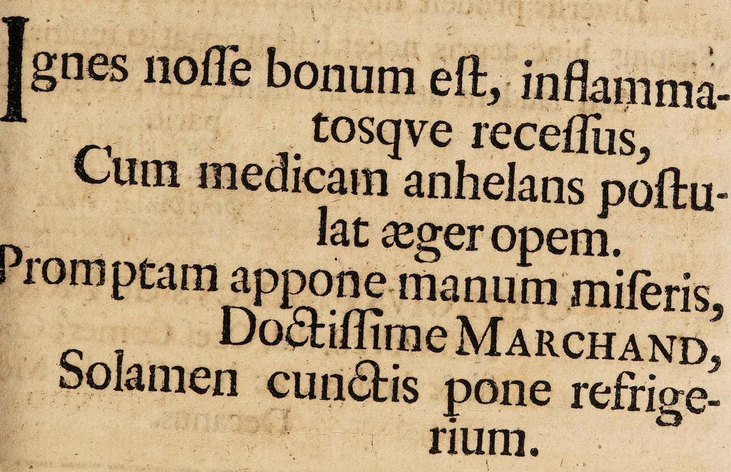 An illustration from Dissertatio solennis de inflammatione ..., 1695, leaf 33