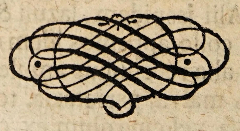 An illustration from Dissertatio inauguralis medica, de abortu ..., 1697, leaf 30