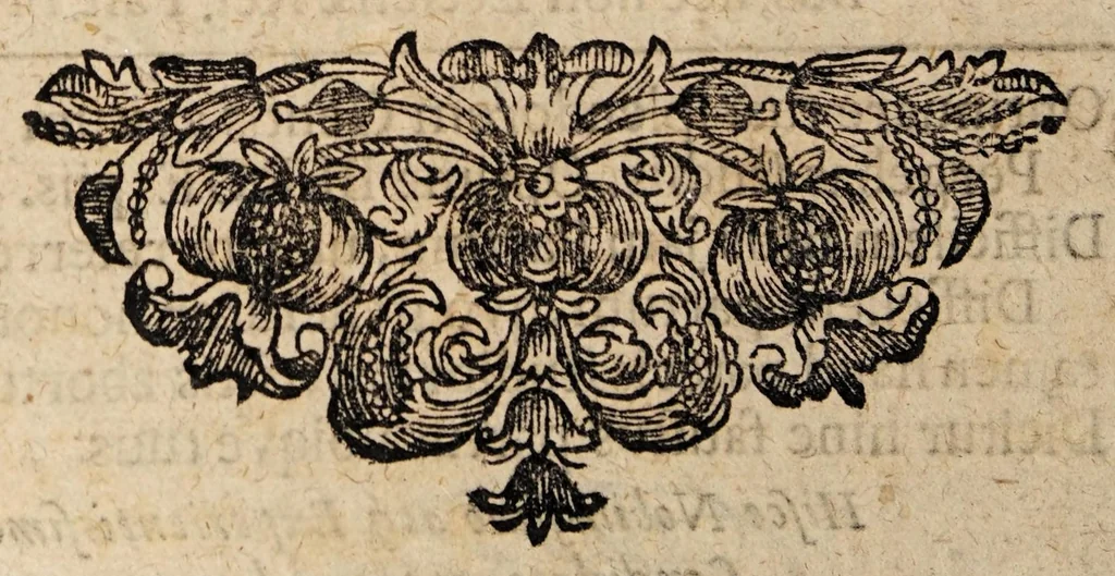An illustration from Dissertatio inauguralis medica, de abortu ..., 1697, leaf 32
