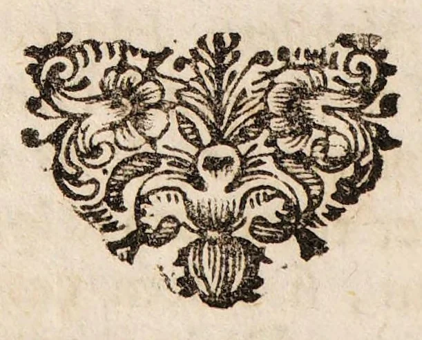 An illustration from Sylloge physico-medicinalium casuum incantationi vulgo adscribi solitorum ... decurias VI complectens ... Cui loco mantissae accesserunt I. Quaestio solemnis: An monstrosa varia illa excreta revera in corpore fuerint, vel extrahantur? An vero praestigiae doemonis sint, 1698, leaf 194