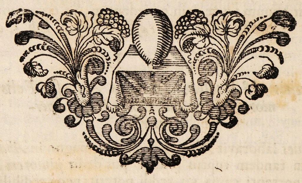 An illustration from Sylloge physico-medicinalium casuum incantationi vulgo adscribi solitorum ... decurias VI complectens ... Cui loco mantissae accesserunt I. Quaestio solemnis: An monstrosa varia illa excreta revera in corpore fuerint, vel extrahantur? An vero praestigiae doemonis sint, 1698, leaf 196