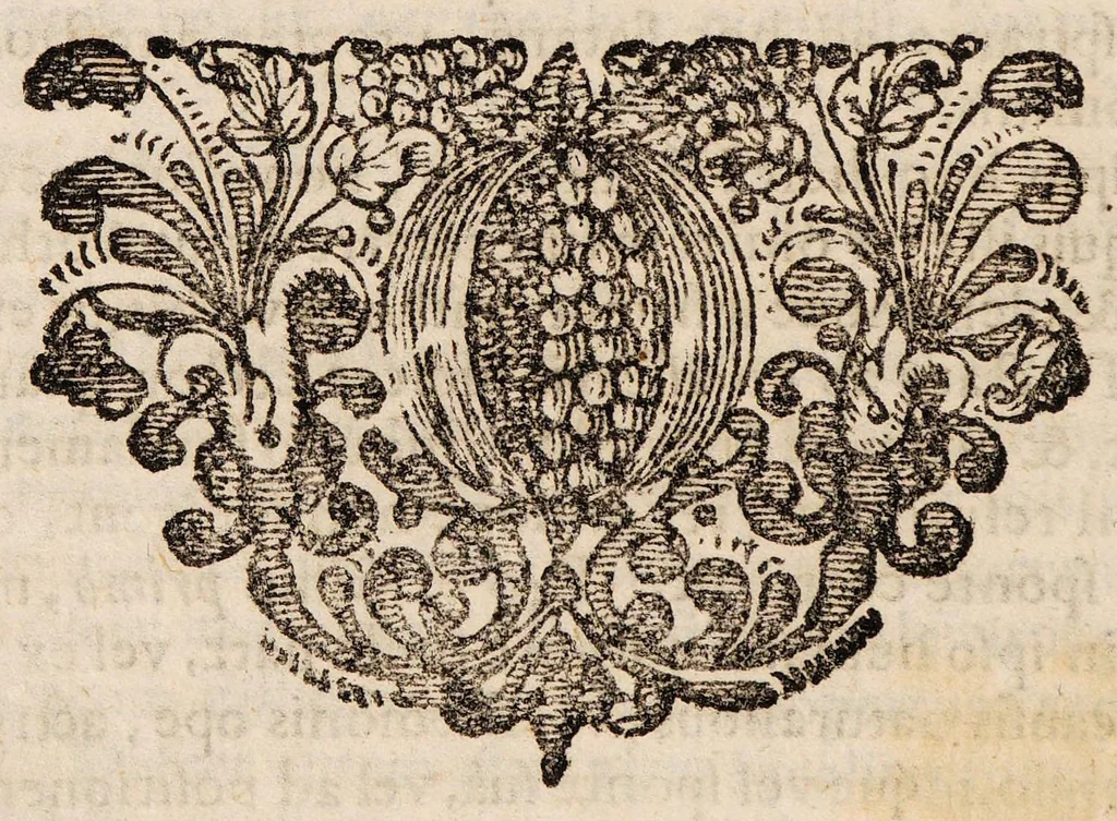 An illustration from Sylloge physico-medicinalium casuum incantationi vulgo adscribi solitorum ... decurias VI complectens ... Cui loco mantissae accesserunt I. Quaestio solemnis: An monstrosa varia illa excreta revera in corpore fuerint, vel extrahantur? An vero praestigiae doemonis sint, 1698, leaf 208