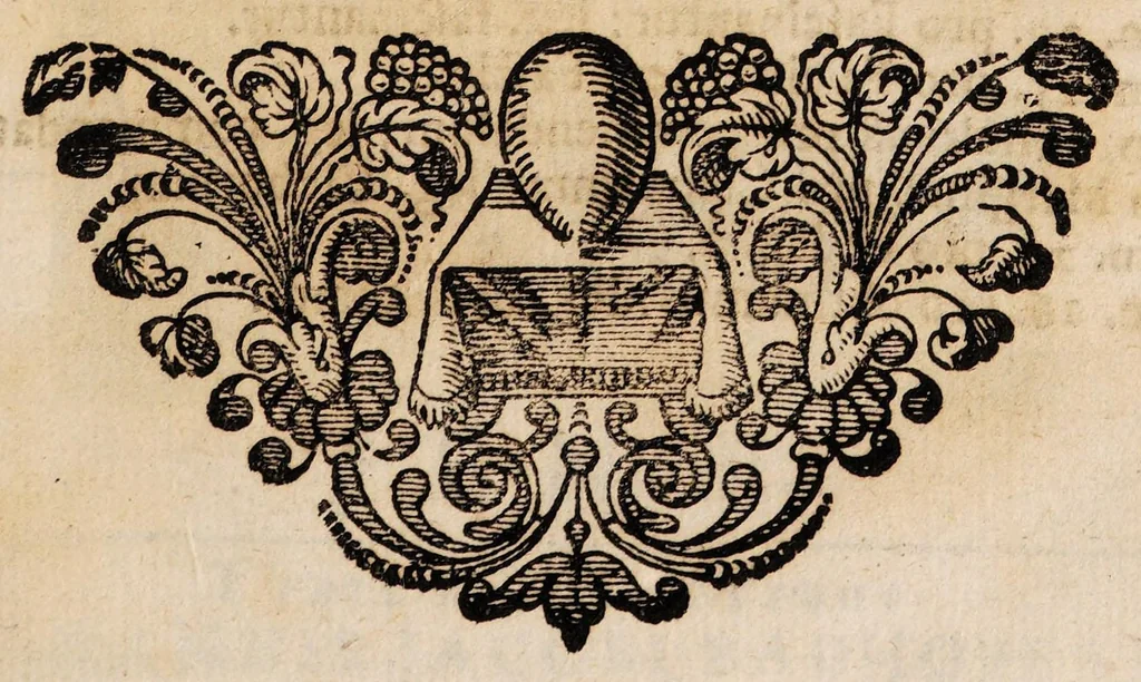 An illustration from Sylloge physico-medicinalium casuum incantationi vulgo adscribi solitorum ... decurias VI complectens ... Cui loco mantissae accesserunt I. Quaestio solemnis: An monstrosa varia illa excreta revera in corpore fuerint, vel extrahantur? An vero praestigiae doemonis sint, 1698, leaf 313