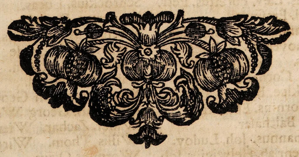 An illustration from Sylloge physico-medicinalium casuum incantationi vulgo adscribi solitorum ... decurias VI complectens ... Cui loco mantissae accesserunt I. Quaestio solemnis: An monstrosa varia illa excreta revera in corpore fuerint, vel extrahantur? An vero praestigiae doemonis sint, 1698, leaf 45