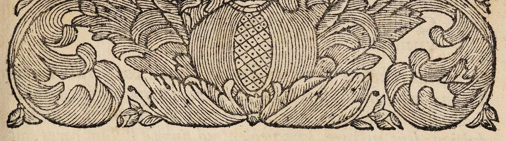 An illustration from Dissertatio inauguralis medica de labrosulcio, seu cheilocace ..., 1698, leaf 3