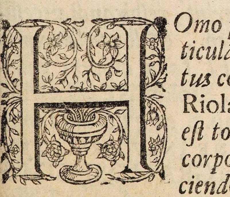 An illustration from Dissertatio inauguralis medica de labrosulcio, seu cheilocace ..., 1698, leaf 3