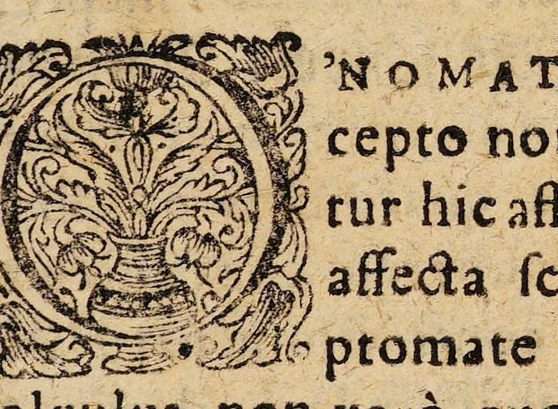 An illustration from I. N. J. Disputatio medica inauguralis, de passione iliaca, ..., 1698, leaf 3