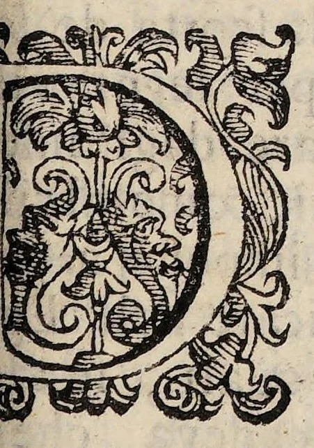 An illustration from Il trionfo della china china, 1699, leaf 9