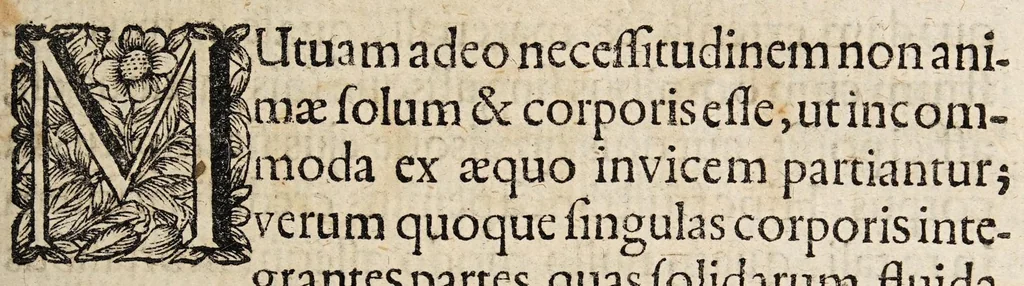 An illustration from Disputatio medica inauguralis de animi commotionum vi medica, 1700, leaf 3