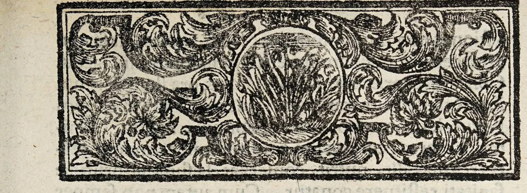 An illustration from Dissertatio inauguralis medica, de panacea ..., 1730, leaf 3