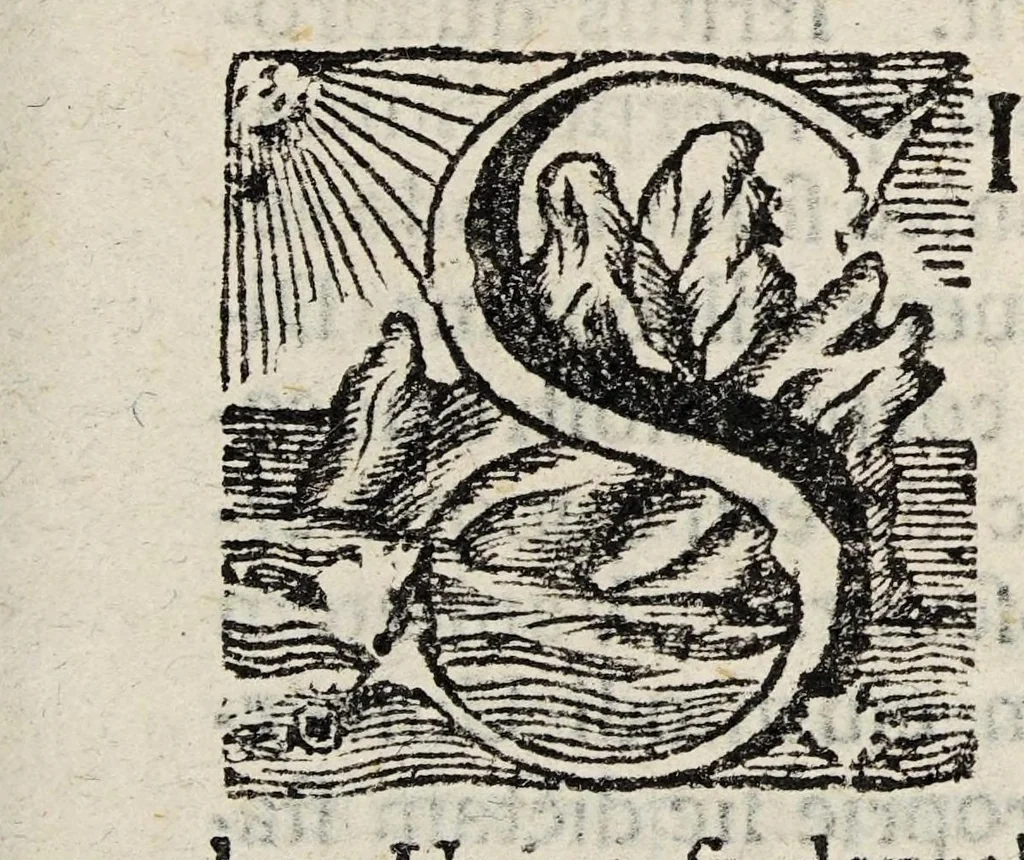 An illustration from Dissertatio inauguralis medica, de panacea ..., 1730, leaf 3