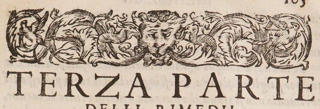An illustration from Trattato di peste ... nel quale si contengono i più scielti, ed approvati rimedii, con alcuni liquori di sua inventione, sì per curarsi, come per preservarsi / [Pietro Francesco Arellani], 1598, leaf 127