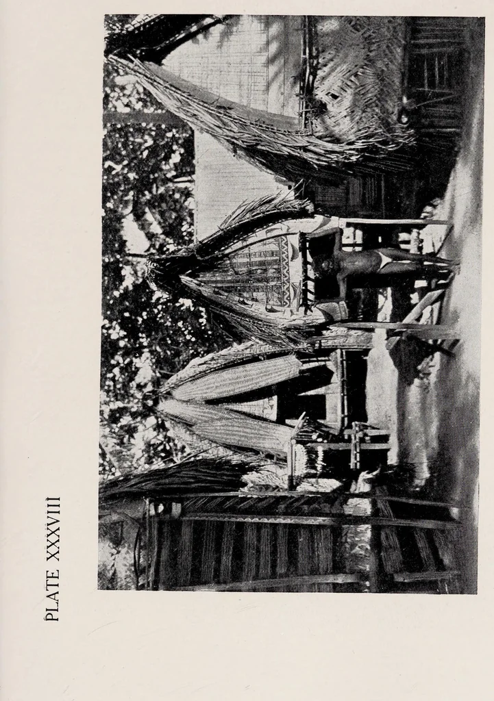 An illustration from Argonauts of the western Pacific : an account of native enterprise and adventure in the archipelagoes of Melanesian New Guinea, 1922, leaf 267