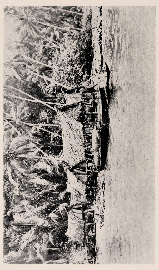 An illustration from Argonauts of the western Pacific : an account of native enterprise and adventure in the archipelagoes of Melanesian New Guinea, 1922, leaf 344