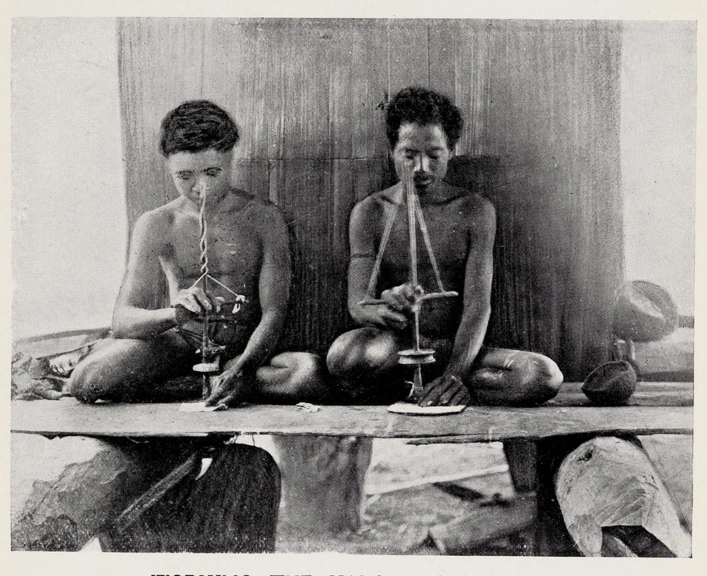 An illustration from Argonauts of the western Pacific : an account of native enterprise and adventure in the archipelagoes of Melanesian New Guinea, 1922, leaf 457