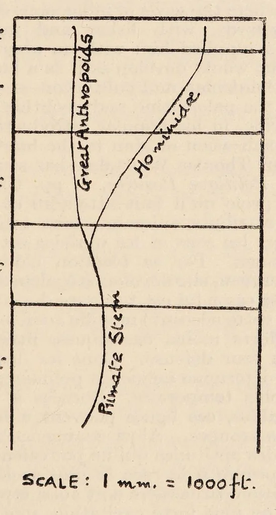 An illustration from The origin of man and of his superstitions, 1920, leaf 19
