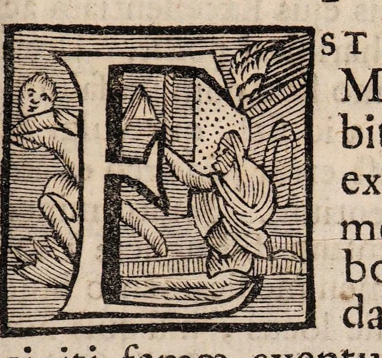 An illustration from Disputatio inauguralis medica de febrifuga chinae-chinae virtute ..., 1693, leaf 3