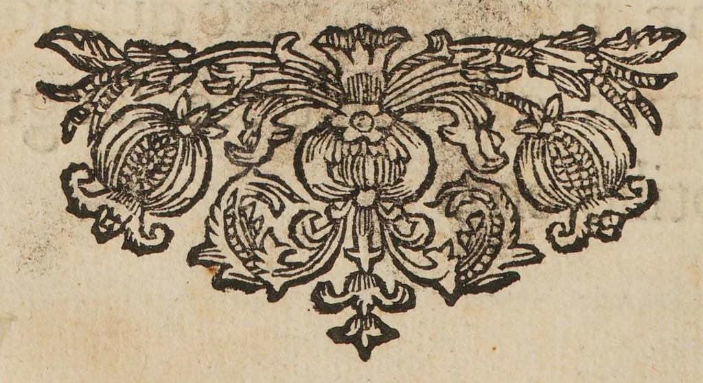 An illustration from Dissertatio inauguralis medico chirurgica de grangraena et sphacelo, 1688, leaf 48