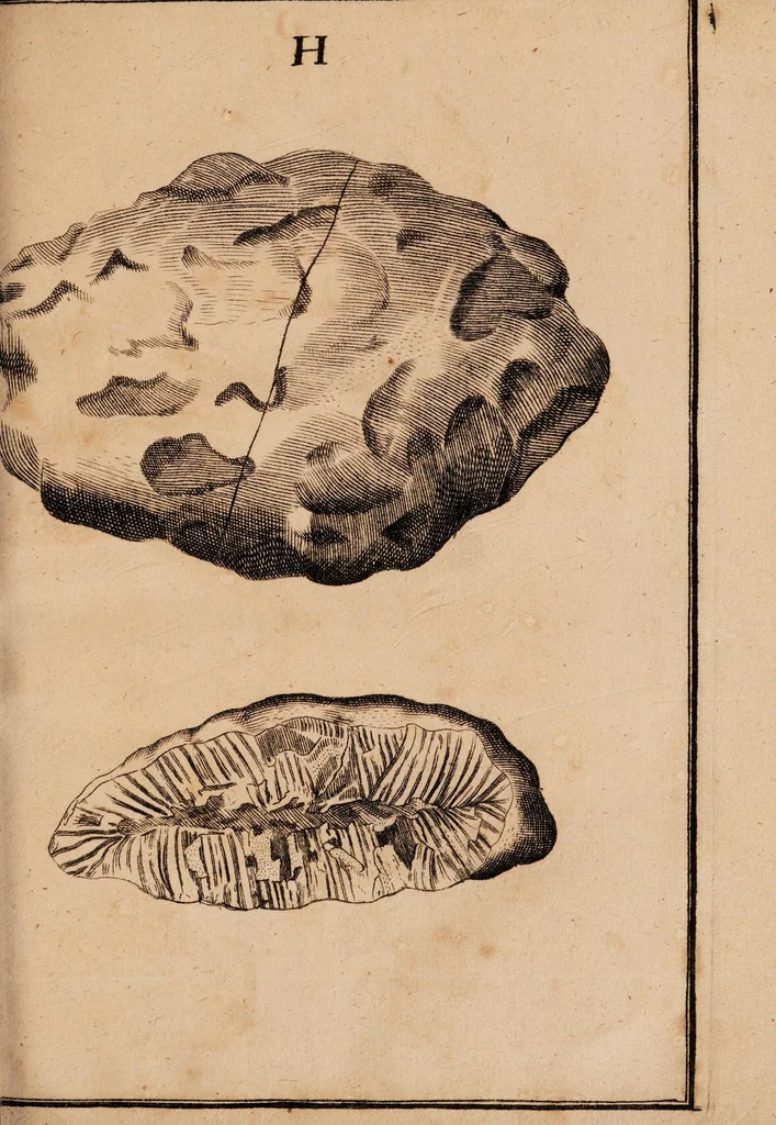 An illustration from Dissertazione epistolare del fosforo minerale ò sia della pietra illuminabile bolognese, 1698, leaf 47