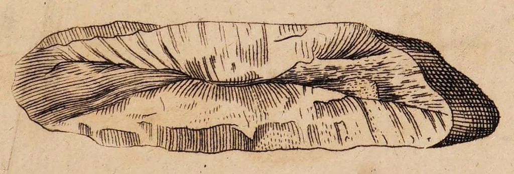 An illustration from Dissertazione epistolare del fosforo minerale ò sia della pietra illuminabile bolognese, 1698, leaf 49