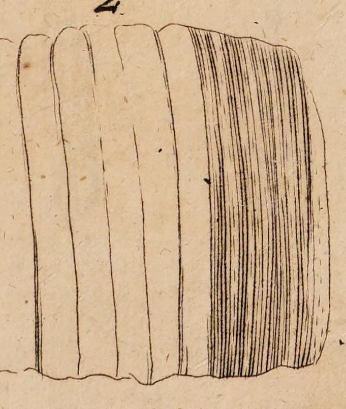 An illustration from Dissertazione epistolare del fosforo minerale ò sia della pietra illuminabile bolognese, 1698, leaf 49
