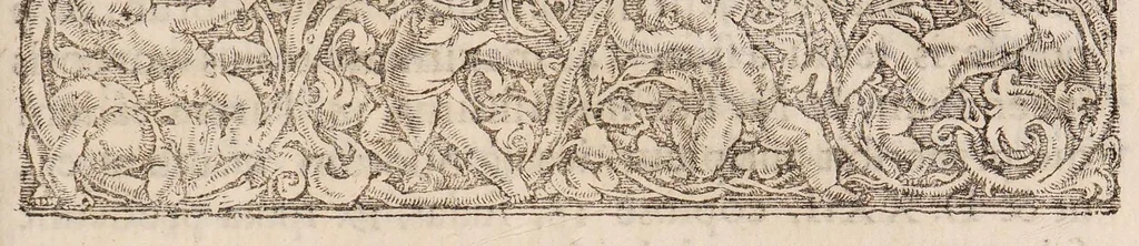 An illustration from Disputatio inauguralis sistens aegrum pleuro-pneumonia laborantem ..., 1687, leaf 3