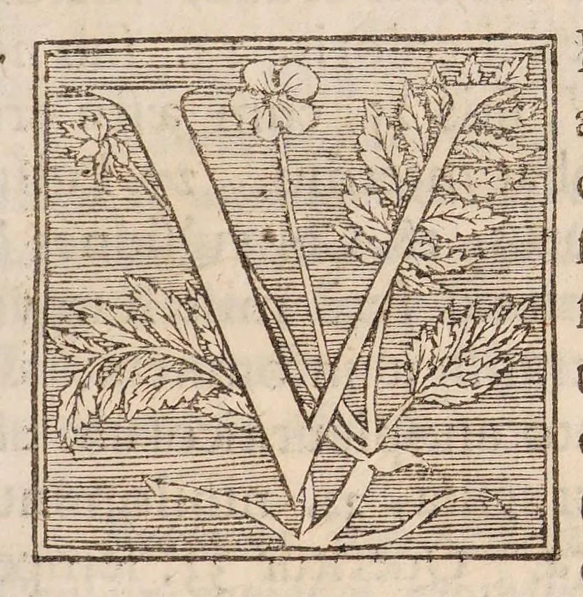 An illustration from Disputatio inauguralis sistens aegrum pleuro-pneumonia laborantem ..., 1687, leaf 3