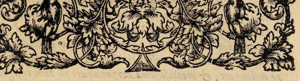 An illustration from Dissertatio inauguralis medica, exhibens, juvenem ophthalmia laborantem, 1683, leaf 3