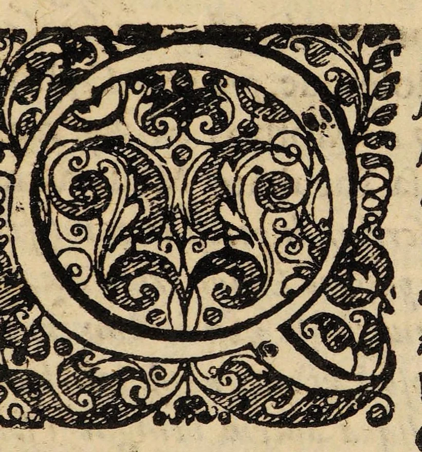 An illustration from Dissertatio inauguralis medica, exhibens, juvenem ophthalmia laborantem, 1683, leaf 3