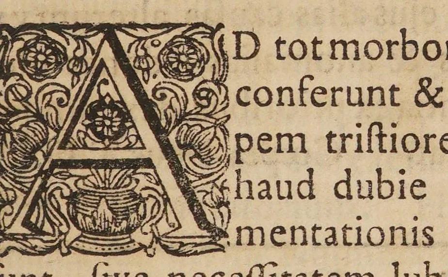 An illustration from Dissertationem hanc de abortu epidemico, 1697, leaf 3
