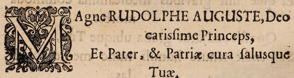 An illustration from Disputatio medica inauguralis de leniorum medicamentorum eximio usu, 1692, leaf 3
