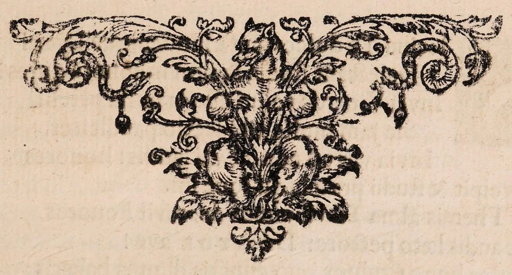 An illustration from Dissertatio medica inauguralis de suppressione mensium, 1677, leaf 23