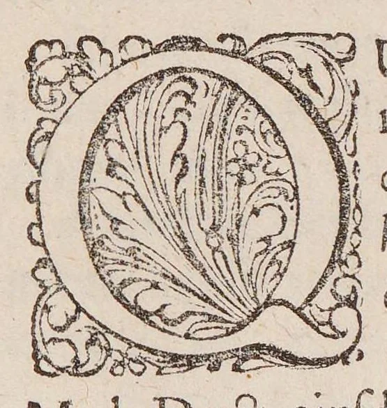 An illustration from Generosiss. nobiliss. expertissimique Di. Di. Ludovici de Bils à Coppensdamme, Bonem, &c. Di. Responsio ad admonitiones Di. Johannis ab Horne in Academiâ Lugd-Bat. anatomes ac chirurgiae profess. ordinarii : ut & ad animadversiones Di. Pauli Barbette medici Amstelodamensis in anatomica Bilsiana., 1661, leaf 42