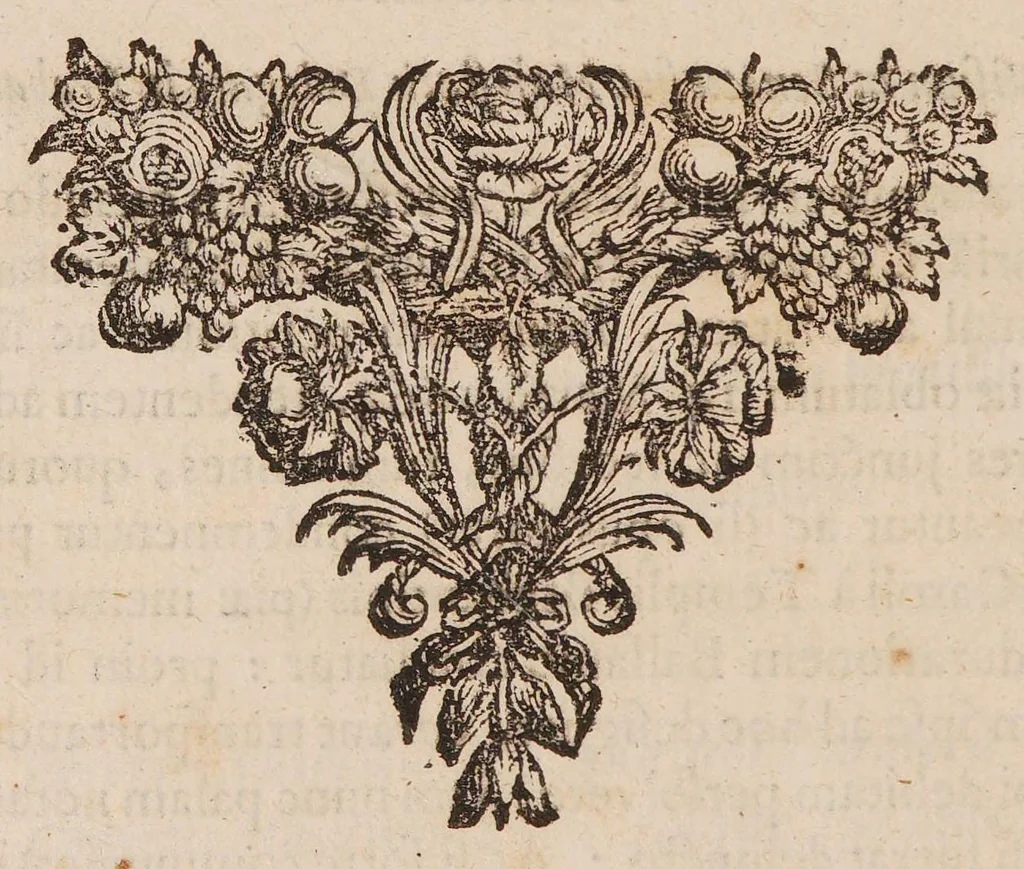 An illustration from Responsio Ludovici de Bils domini a Coppensdamme, ... ad literas ad ipsum datas & nuper transmissas a ... Tobia Andreae ... : qua ostenditur verus usus vasorum hactenus pro lymphaticis habitorum ... Cum adjecta delineatione suorum actorum anatomicorum; nec non brevi ac compendiosa historia eorum, quae spectant artem ac scientiam condiendi balsamo singulari ac methodo nulli hactenus communi humana cadavera, 1669, leaf 46