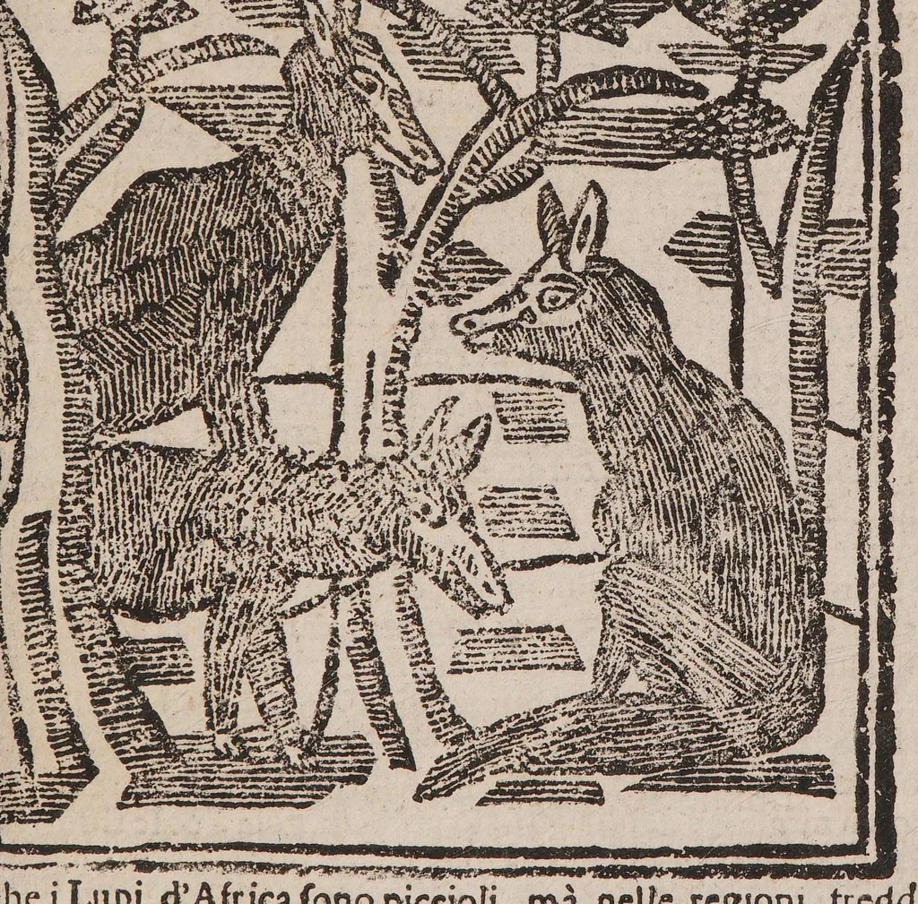 An illustration from Theatro della caccia e trattenimento geniale della villa, 1669, leaf 105