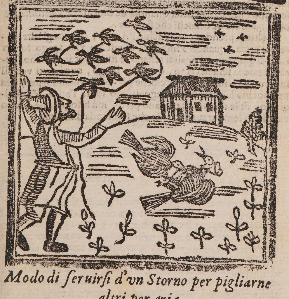 An illustration from Theatro della caccia e trattenimento geniale della villa, 1669, leaf 19